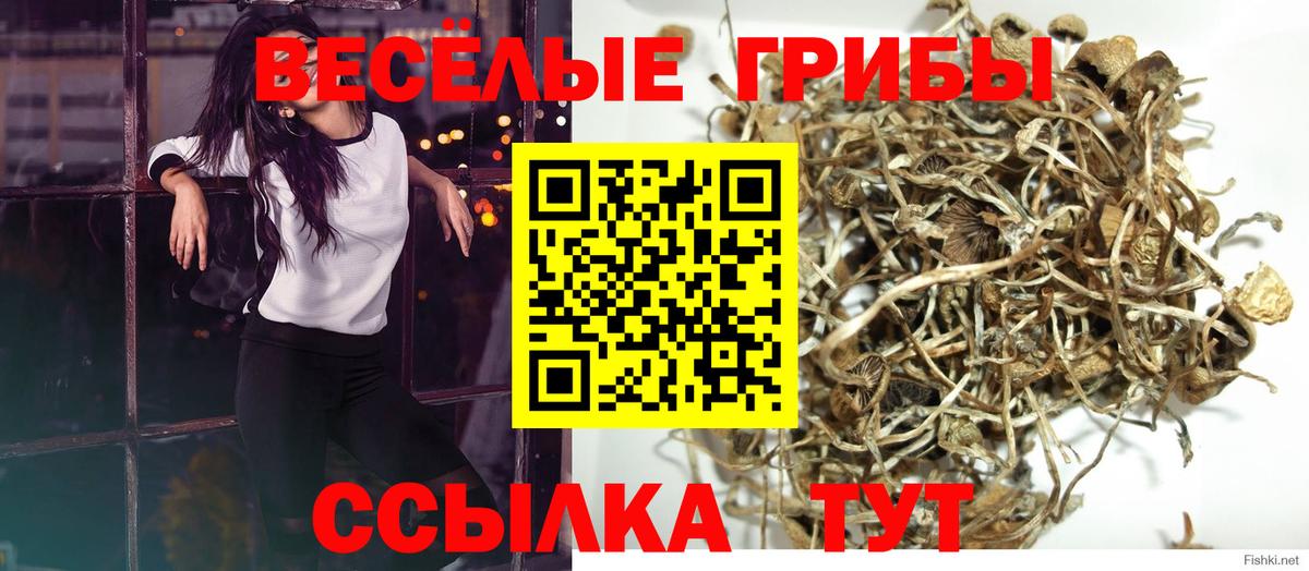 Галлюциногенные грибы мухоморы Лысьва