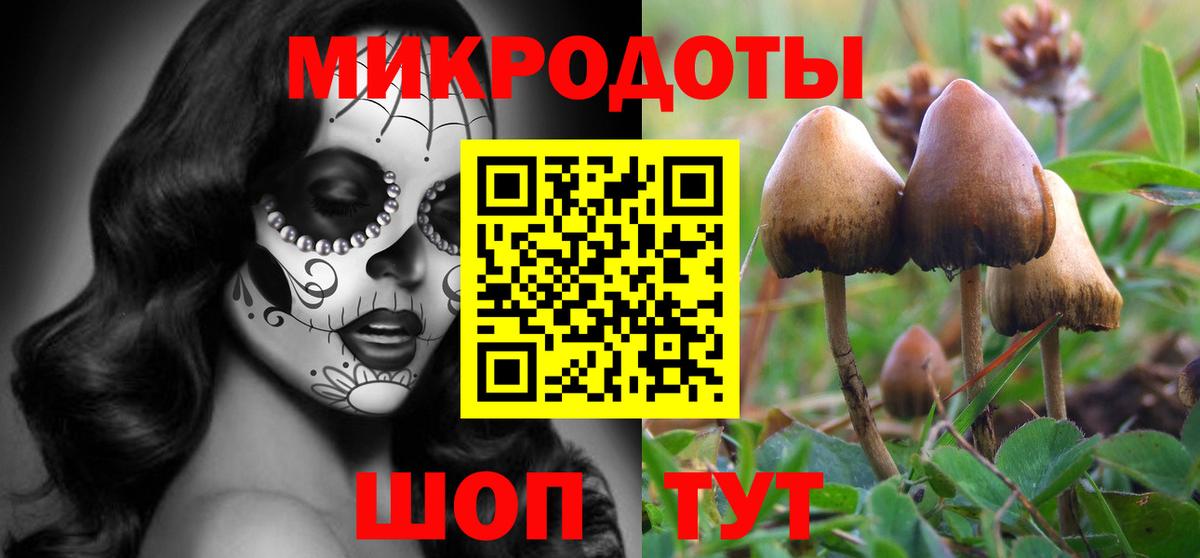 Галлюциногенные грибы Psilocybine cubensis  Вход с VPN  Лысьва  Псилоцибиновые грибы мицелий 